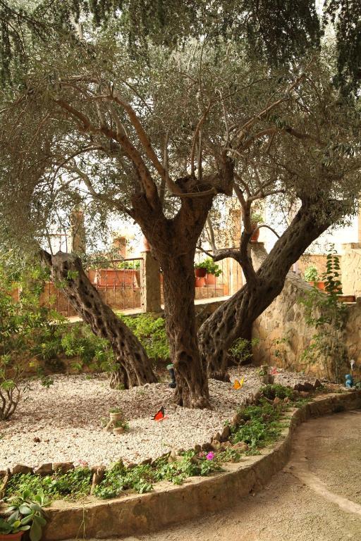 B&B Villa Casablanca Enna Exterior photo